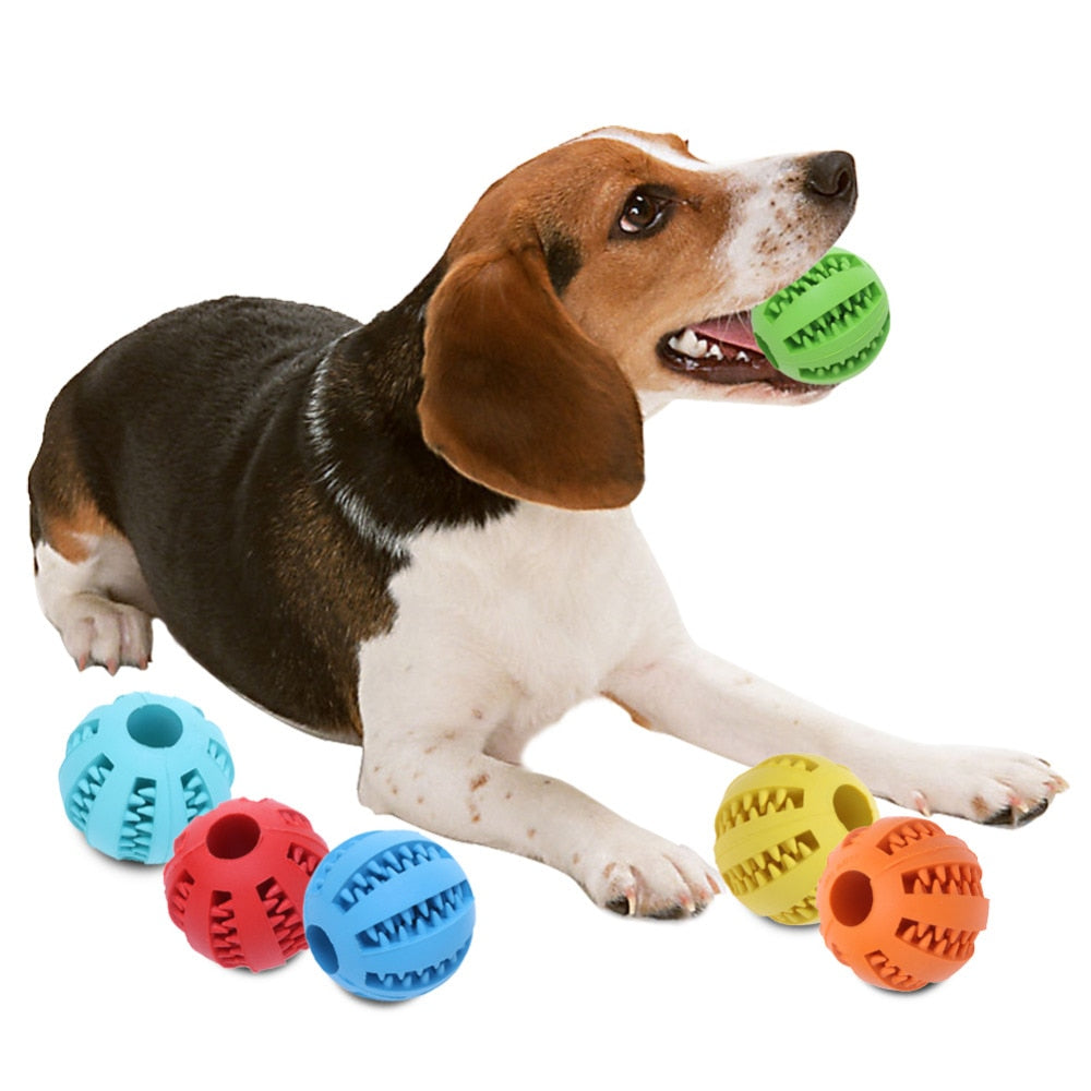 Pet Dog Self Playing Rubber Ball Toy W/ Suction Cup Interactive Molar Chew  Toys For Dog Play Puppy TRB Toy Sale Dropshipping Y200330 From Shanye10,  $10.13