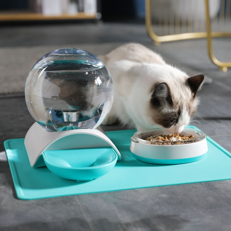 Bubbling cat water store dispenser