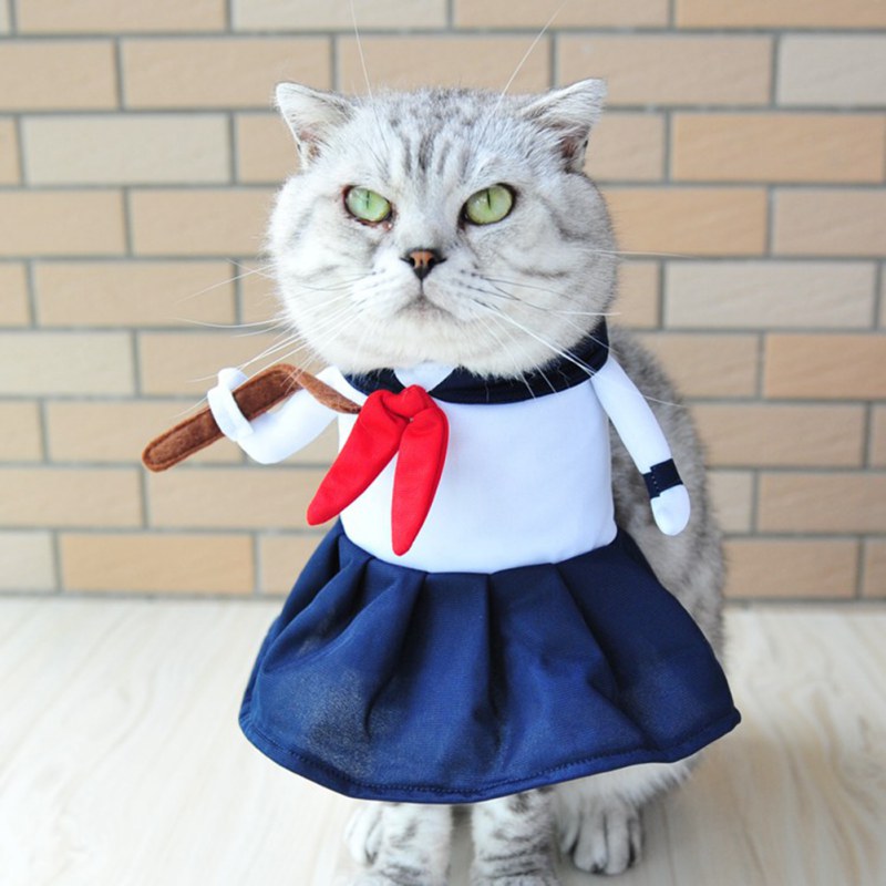 Cat Costume Clothing Corsair
