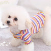 Pet Dog  Puppy Clothing